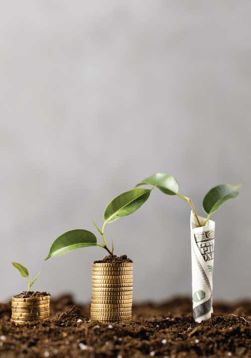 Finance Website Development Dubai, UAE